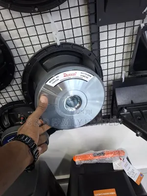 Derwel 10ah26 10 Inch Naked Speaker