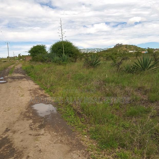 50 *100 Plot for Sale at Nkoroi - thumbnail 3