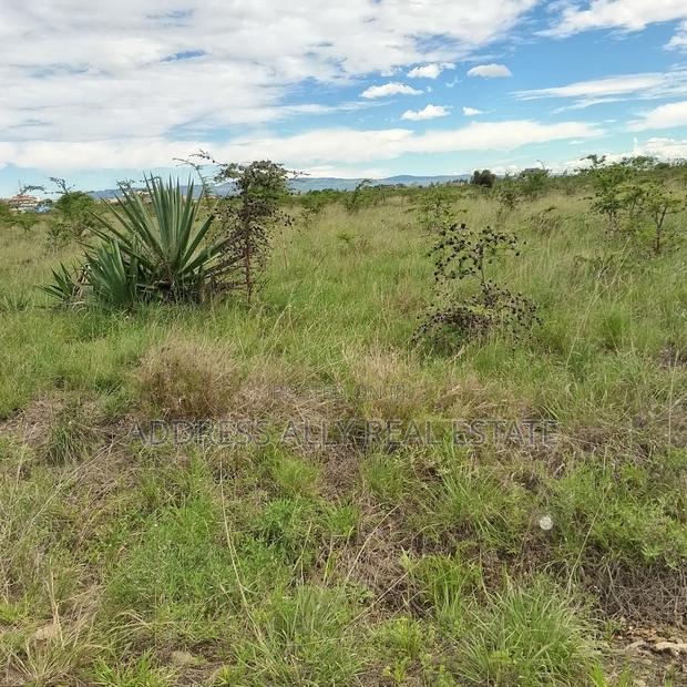 50 *100 Plot for Sale at Nkoroi - thumbnail 5