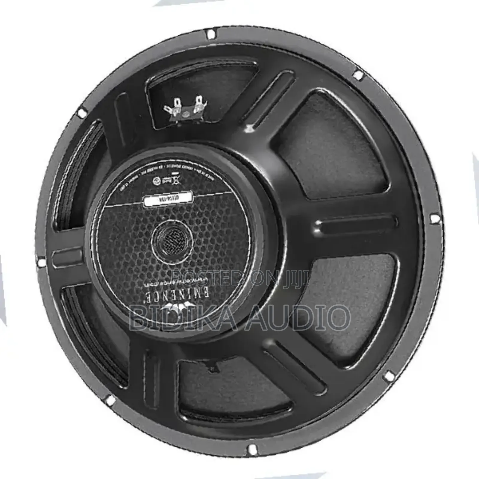 Eminence Naked Speaker 15′′