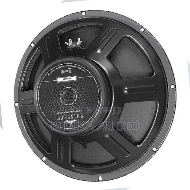 Eminence Naked Speaker 15′′