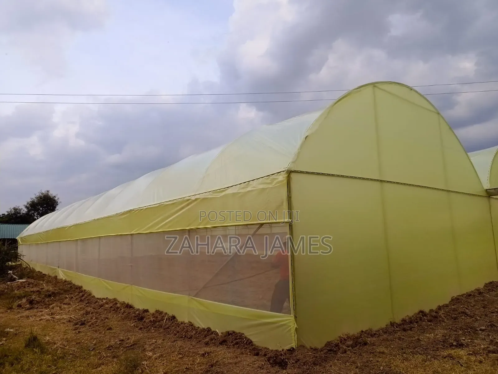 Metallic and Wooden Greenhouses and Polythene