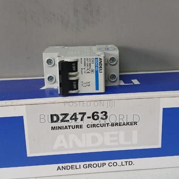 Most Durable Double Pole Circuit Breakers 63a, MCB