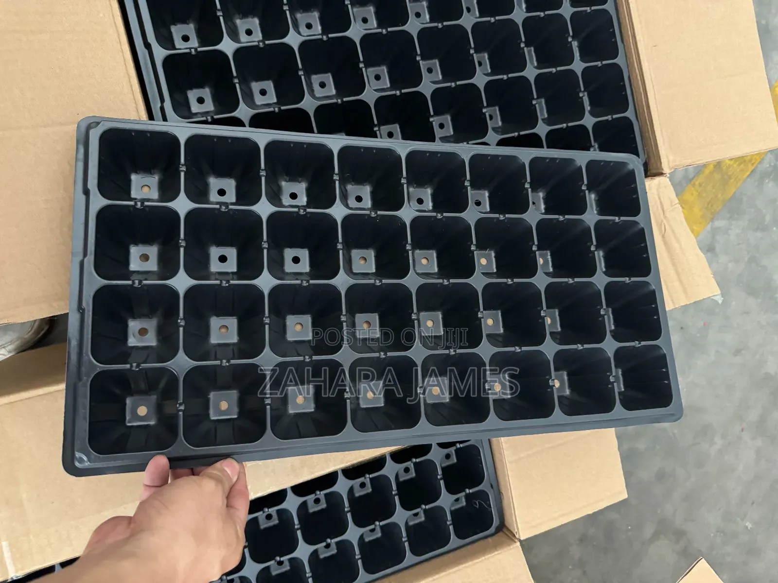 Seedlings Trays and Planting Bags
