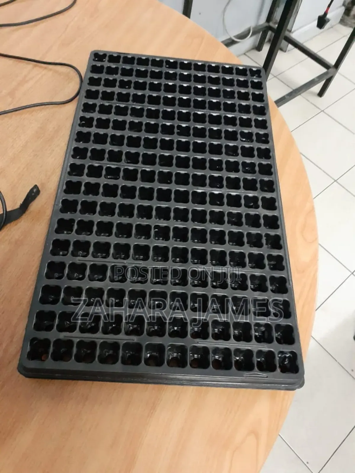 Seedlings Trays and Planting Bags