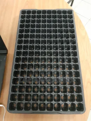 Seedlings Trays and Planting Bags