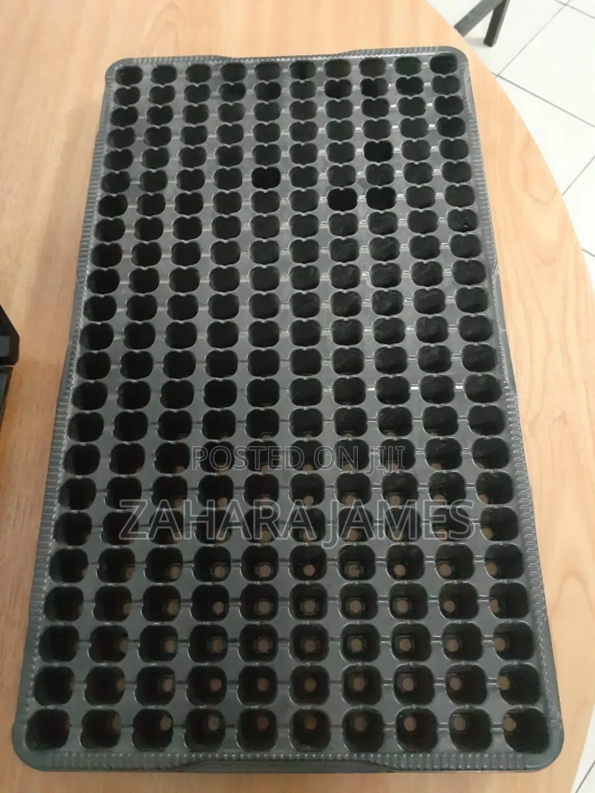 Seedlings Trays and Planting Bags