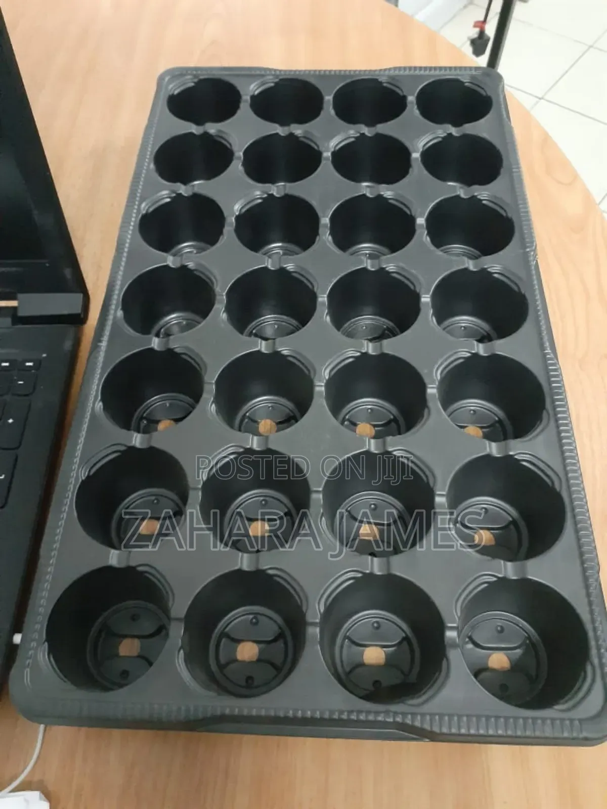 Seedlings Trays and Planting Bags
