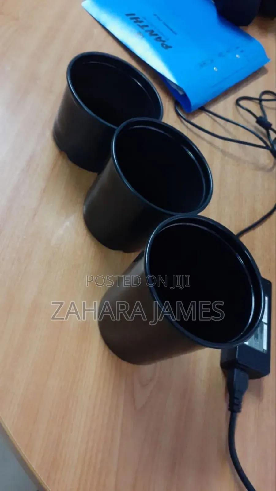 Seedlings Trays and Planting Bags