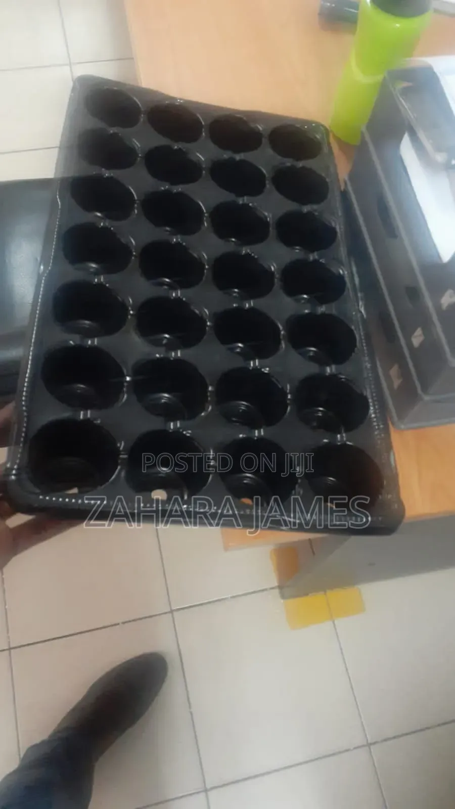 Seedlings Trays and Planting Bags