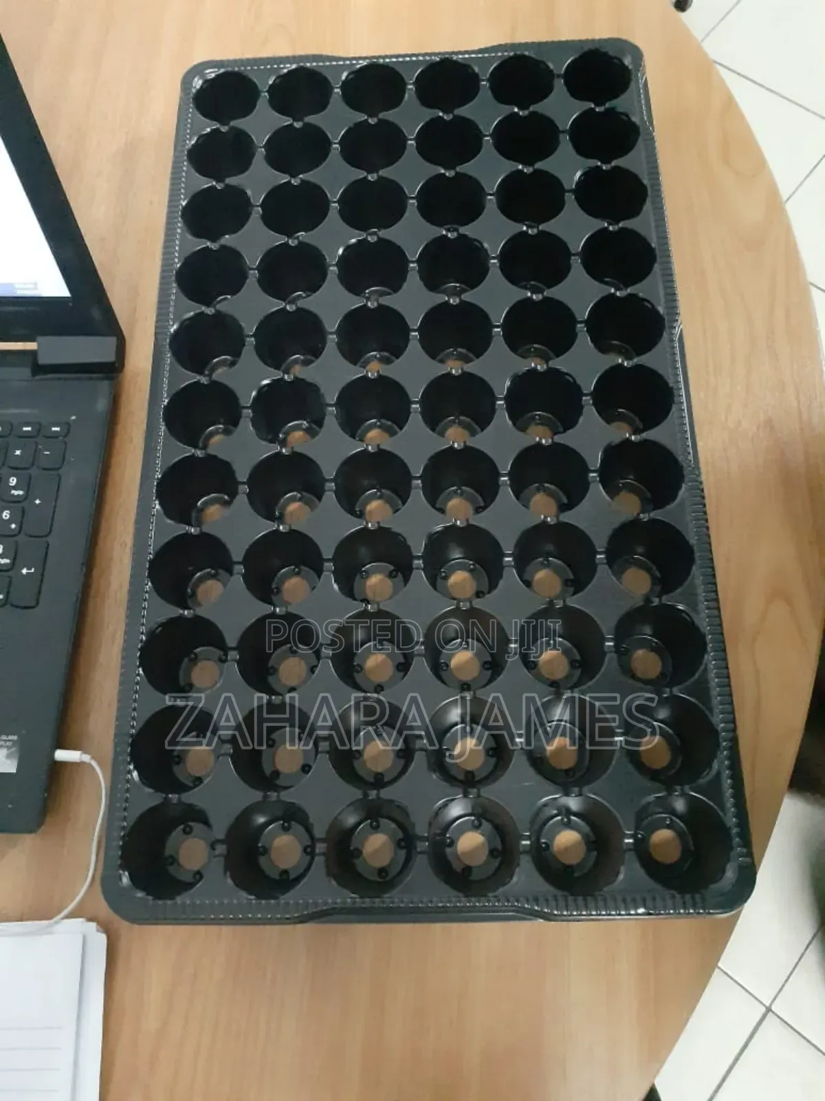Seedlings Trays and Planting Bags