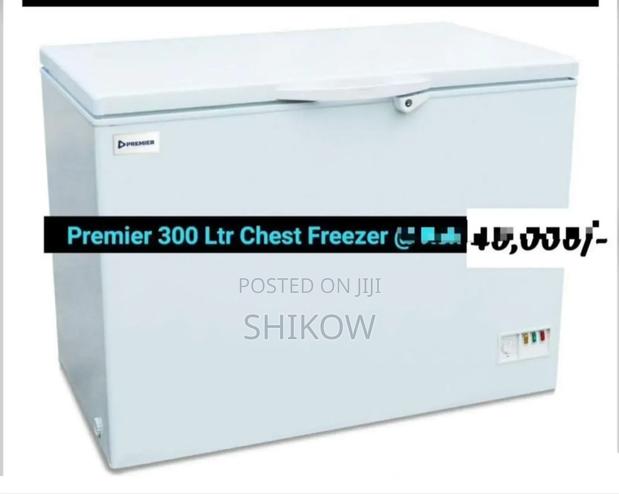 Premier 300l Freezer