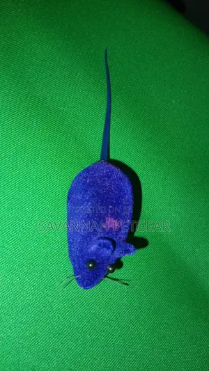 Cat Kitten Toy Squeaking Mouse Play Toy