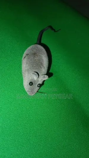 Cat Kitten Toy Squeaking Mouse Play Toy
