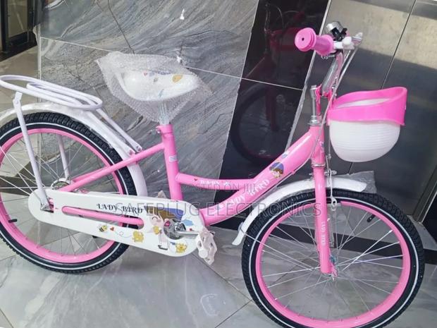 Light Pink - Size 20" Girls MTB With Wheels (Bicycle)