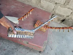 5 String Wadidi