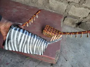 5 String Wadidi
