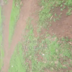 50*60 Twin Plots