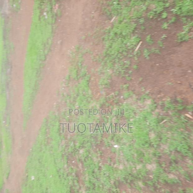 50*60 Twin Plots - main view