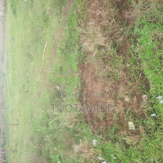 50*60 Twin Plots - thumbnail 2