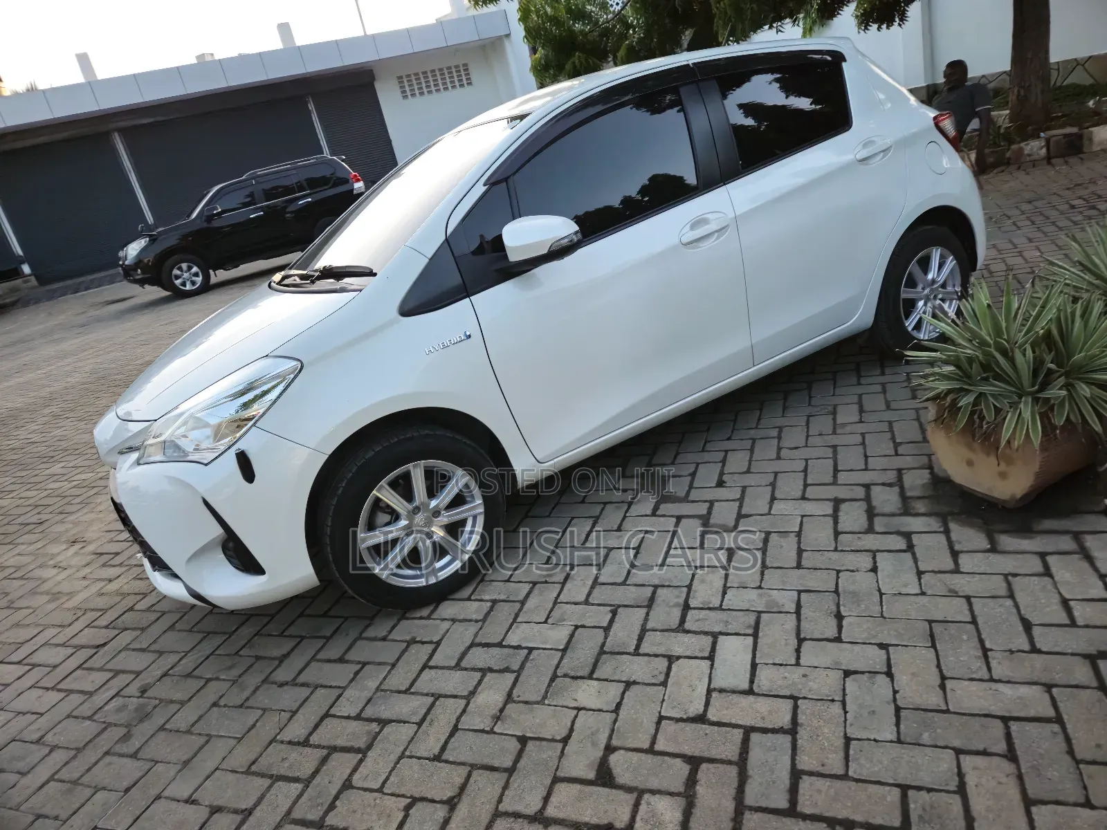 Toyota Vitz 2019 White