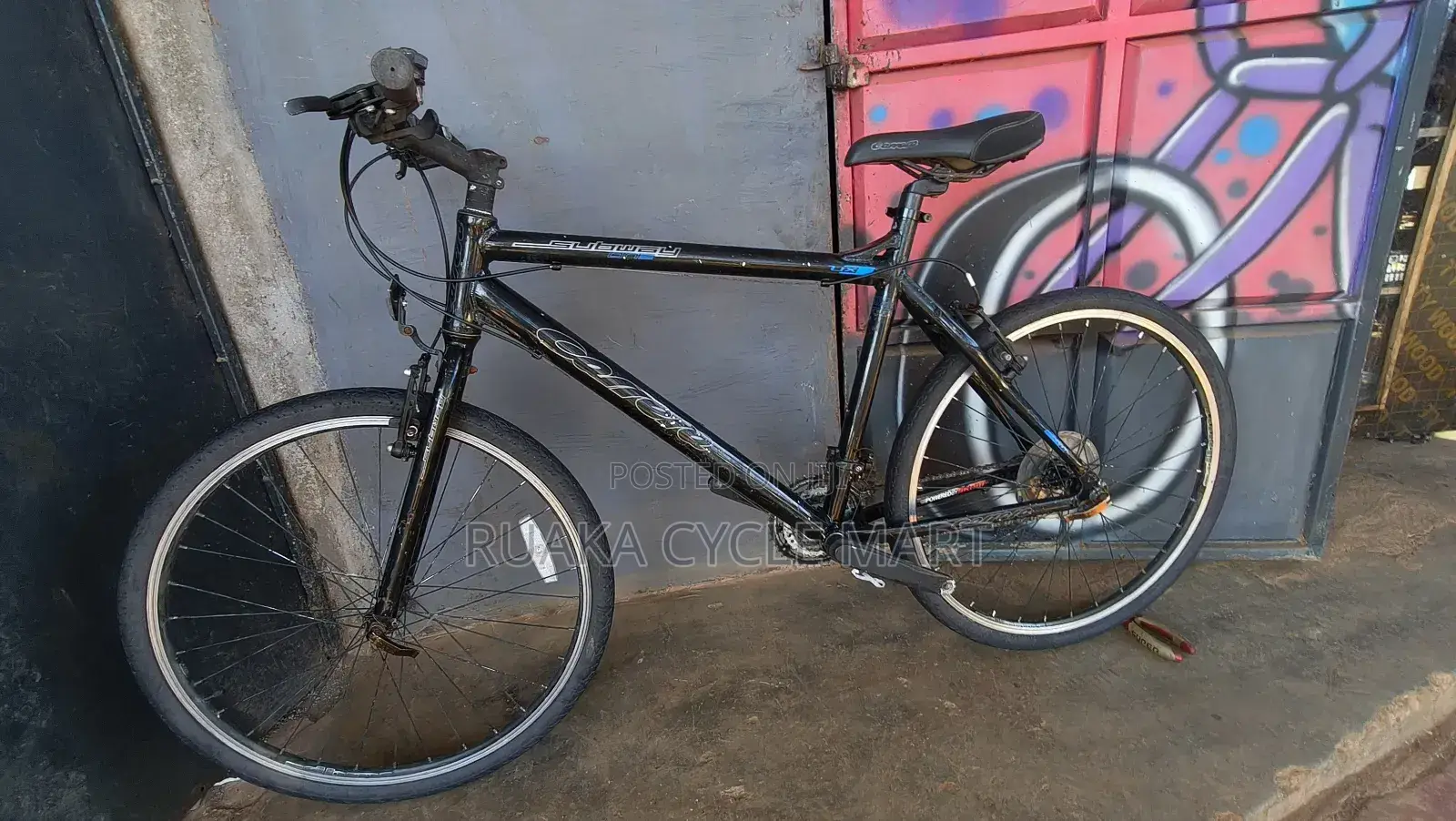Carrera Mountain Bike