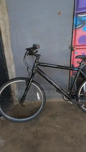Carrera Mountain Bike