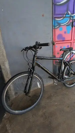 Carrera Mountain Bike
