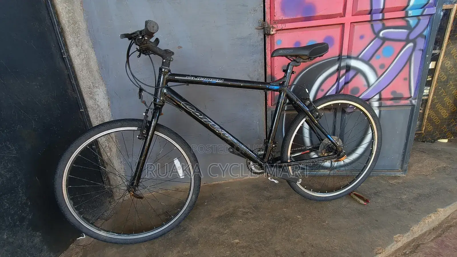 Carrera Mountain Bike