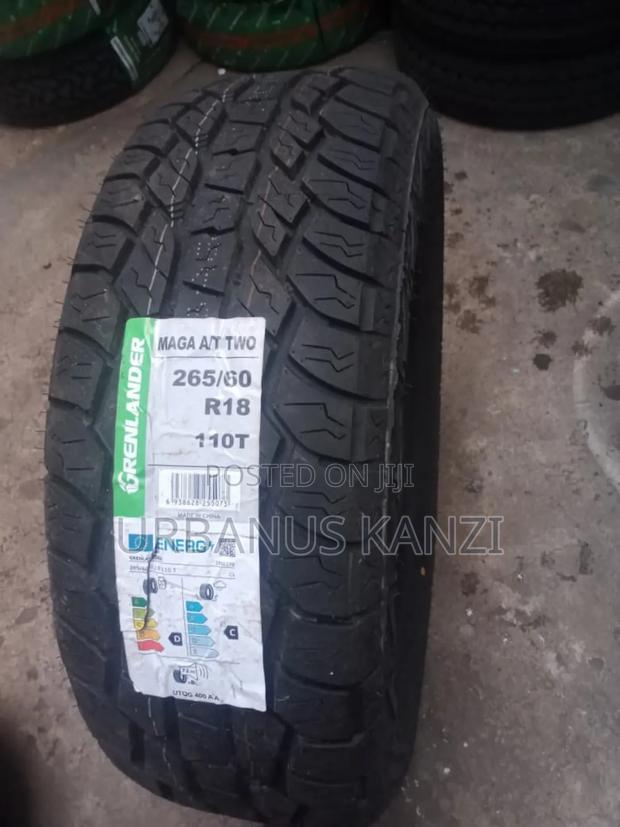 265/60 R18 Greenlander Tyre - main view