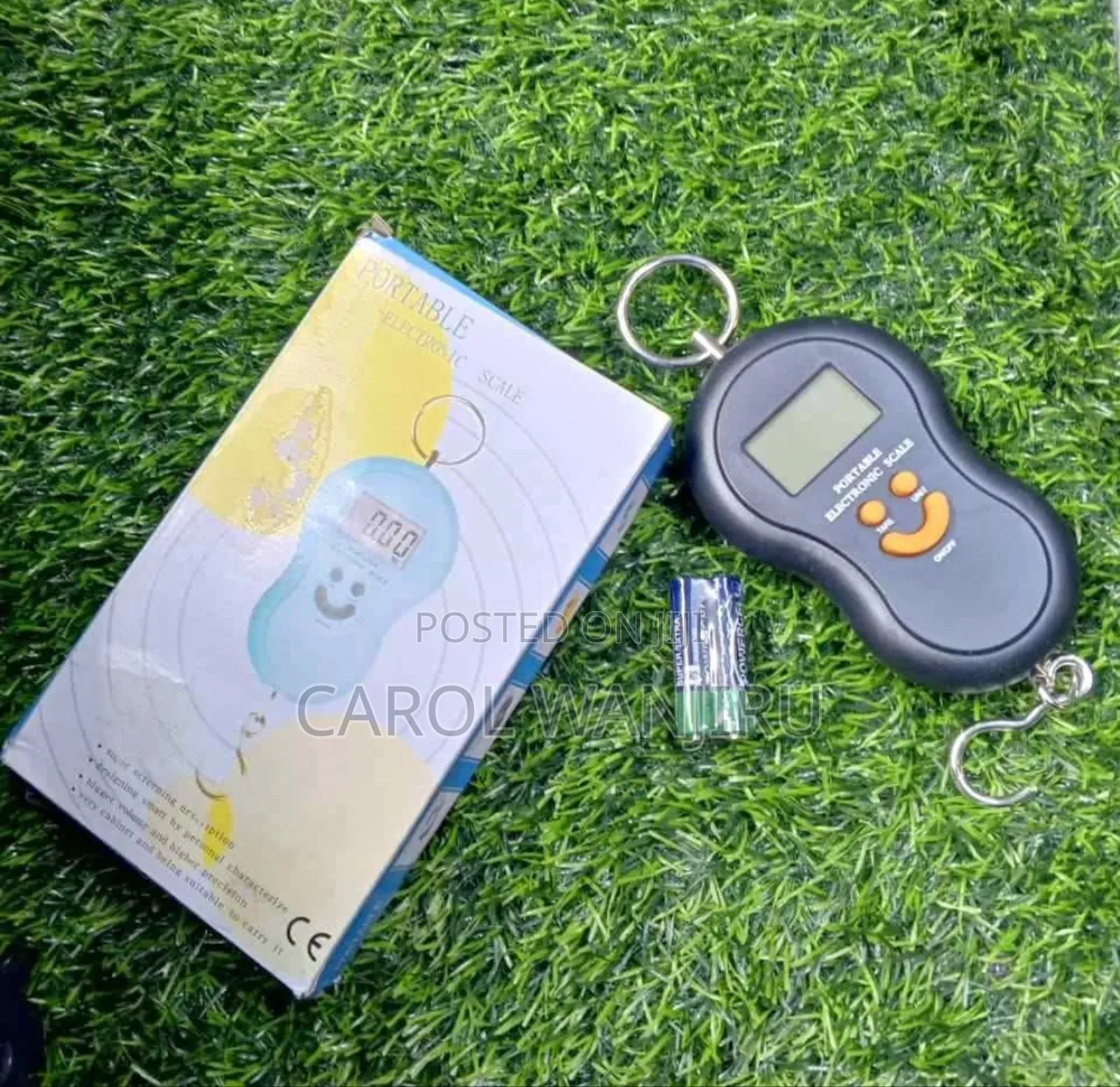 50kgs Weighing Scale/ Digital Weighing Scale Machine