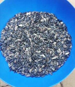 Sunflower Seeds (Black) - main view