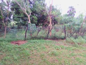 Plot for Sale the Shamba Mtwapa - thumbnail 2