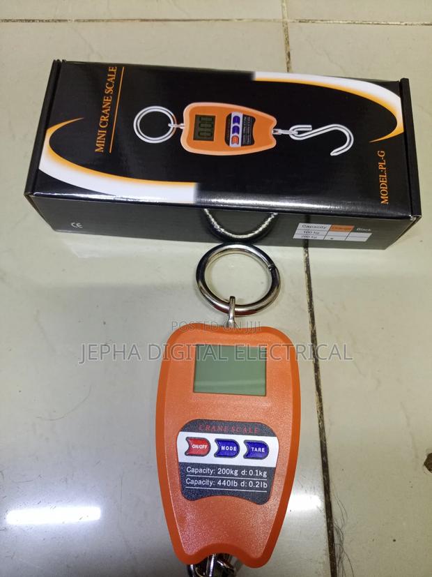 100kg Hanging Scale