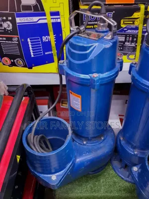 Sewage Pump