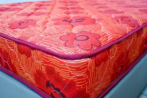 5 X 6 X 8 Silent Night Spring Mattresses! Free Delivery
