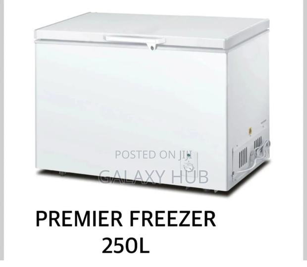 Premier 250l Freezer