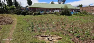 Commercial 1⁄4 Plot For Sale In Kimumu Eldoret