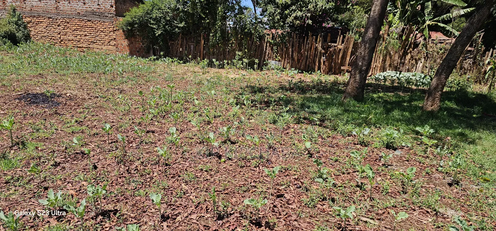 Commercial 1⁄4 Plot For Sale In Kimumu Eldoret