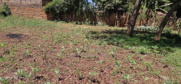 Commercial 1⁄4 Plot For Sale In Kimumu Eldoret - thumbnail 5