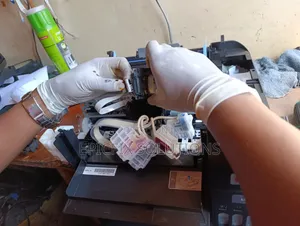 Lseries Epson Printer Technician Available