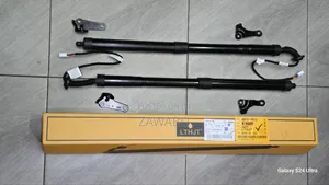 Electric Bootshocks Lexus Nx200t Tail Gate Lifts