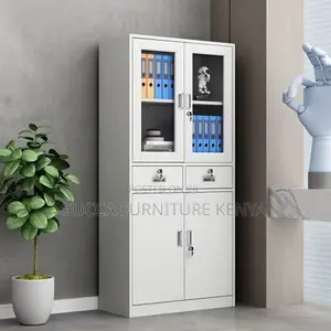 Cabinets:2-Door Modern Cabinet With Adjustable Dividers