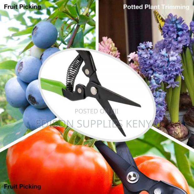 Pruning Shears Pro Garden Shears Gardening Scissors - thumbnail 2