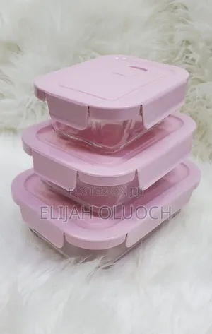 Glass Snack Box With Lunch Bag*