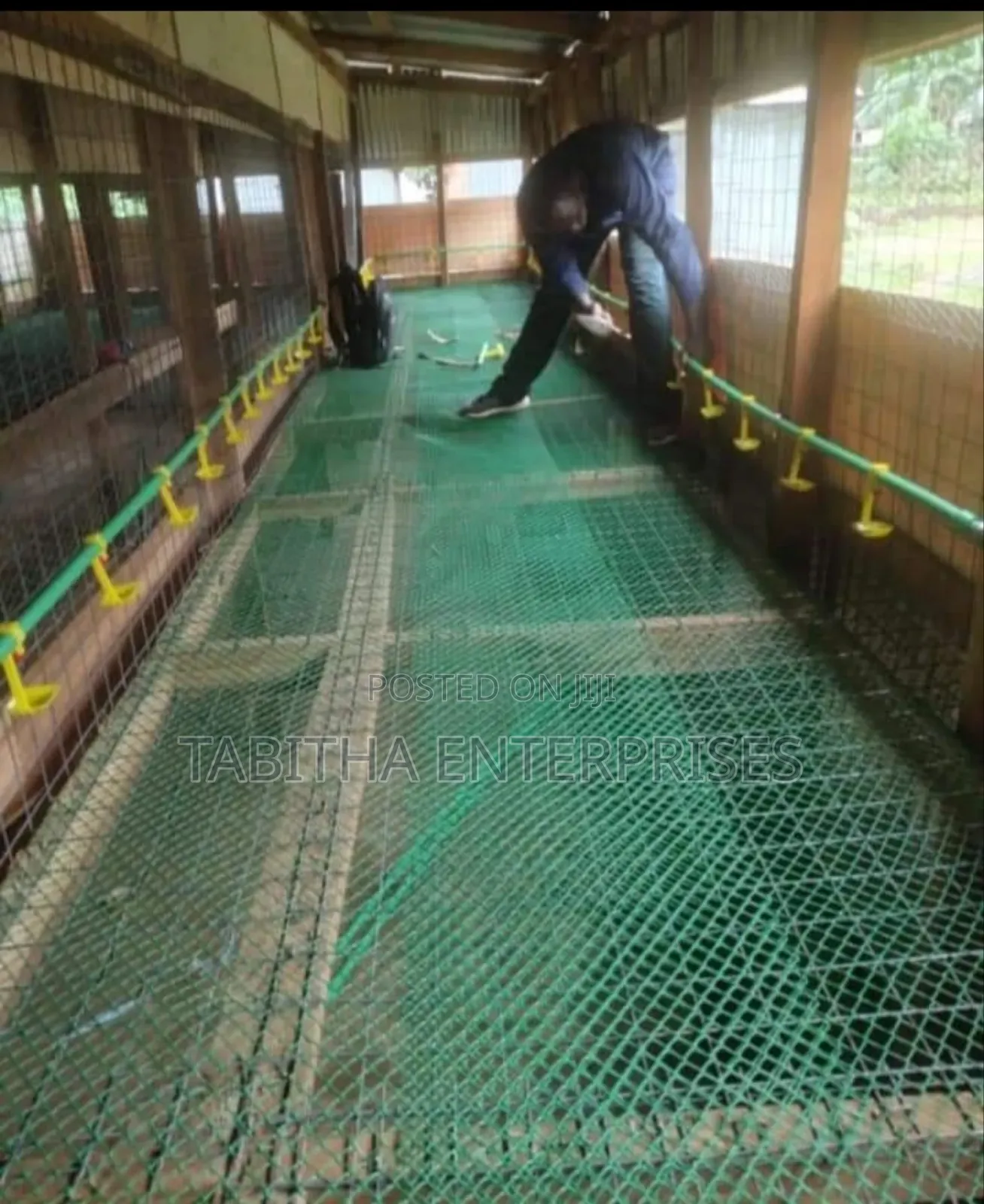 Poultry Wire Mesh 25mtr