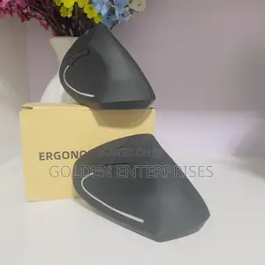 Quality Ergonomic Silent Wireless Mouse for Gaming