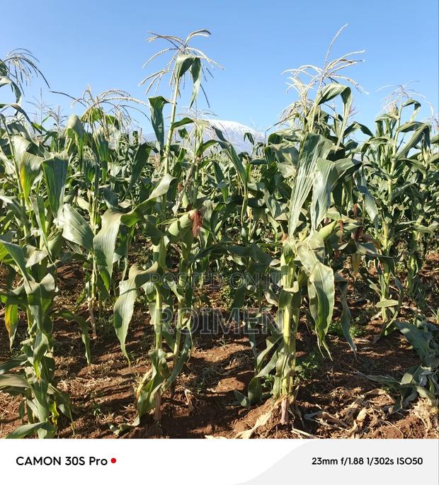 20 Acres Loitoktok Entonet Area. - main view