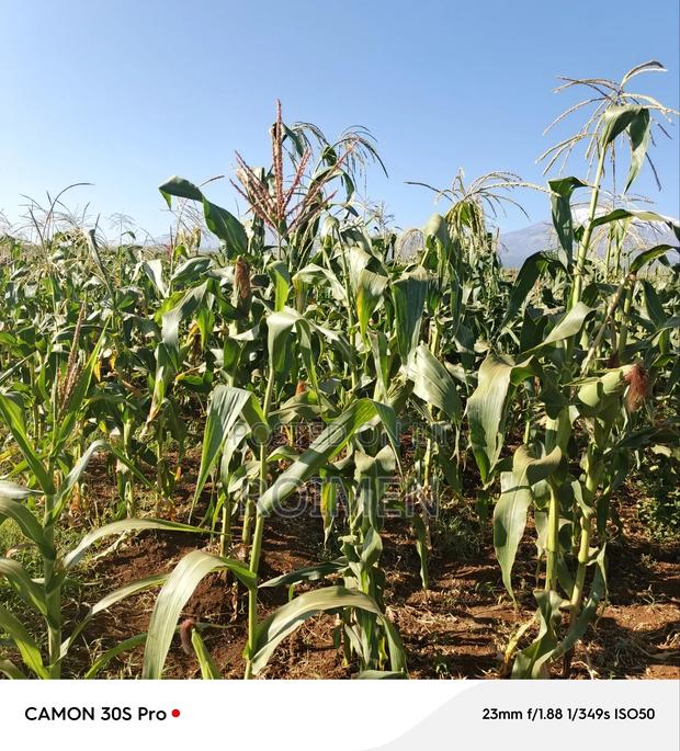 20 Acres Loitoktok Entonet Area. - thumbnail 3