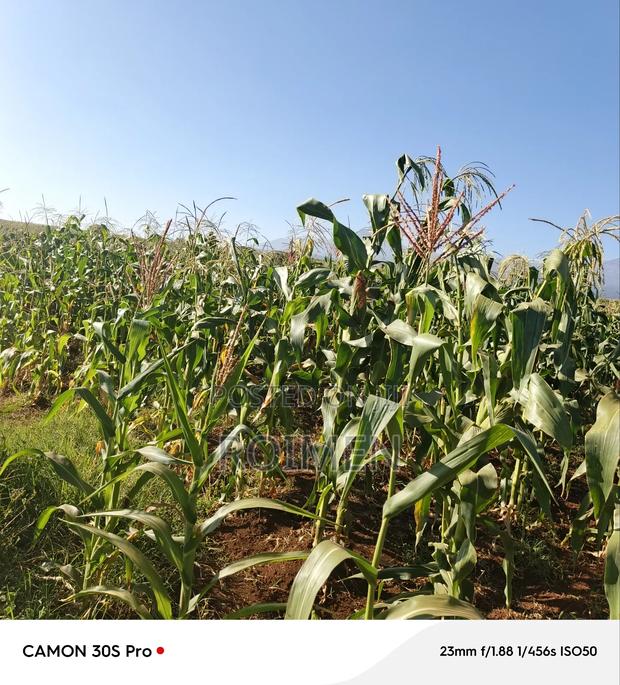 20 Acres Loitoktok Entonet Area. - thumbnail 4